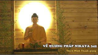 Về Nương Pháp NIKAYA 345