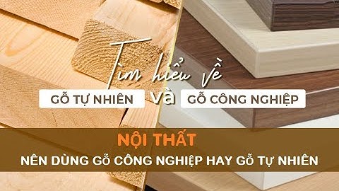 So sánh nội thất gỗ thông với gỗ công nghiệp năm 2024