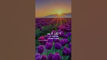 #القارئ_ياسر_الدوسري #آيات #سورة_المؤمنون