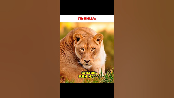 Мем про львицу, пещерного человека, детство