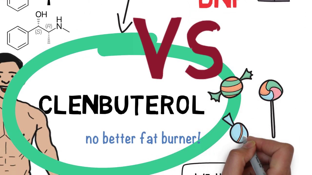 Clenbuterol information