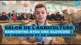 Salon de l’agriculture : des chameaux et dromadaires venus du Nord de la France