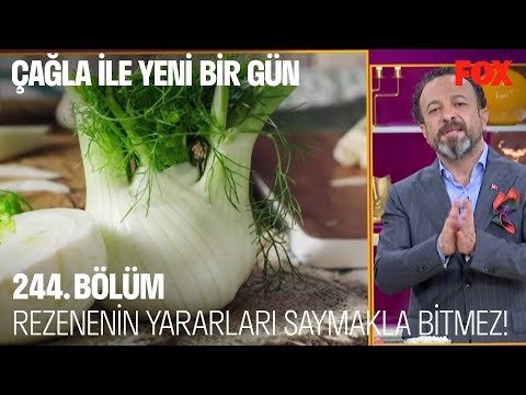 Rezenenin yararları saymakla bitmez! Çağla ile Yeni Bir Gün 244. Bölüm