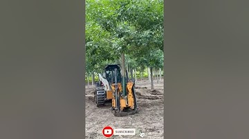Machine Uprooting Trees | Máy Bứng Cây  #shorts #satisfying