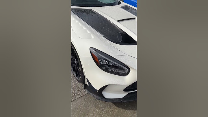 $500,000 Mercedes AMG GT Black Series! 🐼