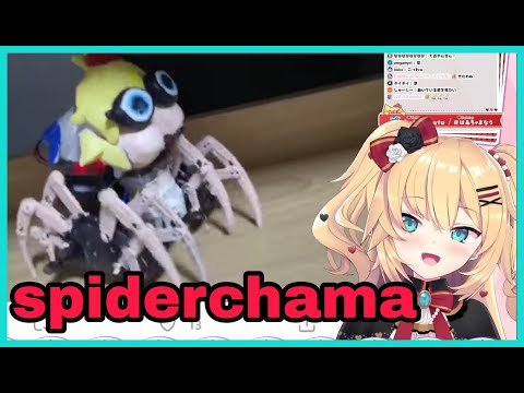 Haachama React To Spiderchama [Hololive/Eng Sub]
