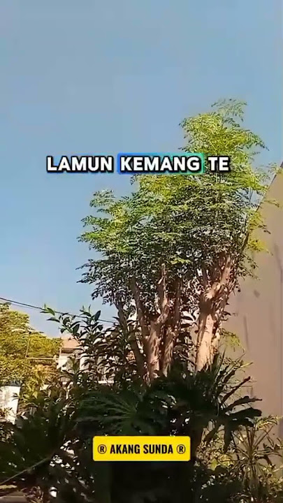 matak sakeclak cai mata indung ....#jangkawanluas #fypppppp#janganlupasubscribe #vidioshort #quotes