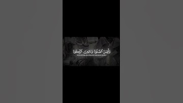 القارئ محمد اللحيدان #اكسبلور #quran