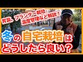家庭菜園やプランター栽培は冬の間どうしたら良い？自宅で出来る育苗や温度管理のコツを徹底解説！【農家直伝】/Tips for growing vegetables at home in winter.
