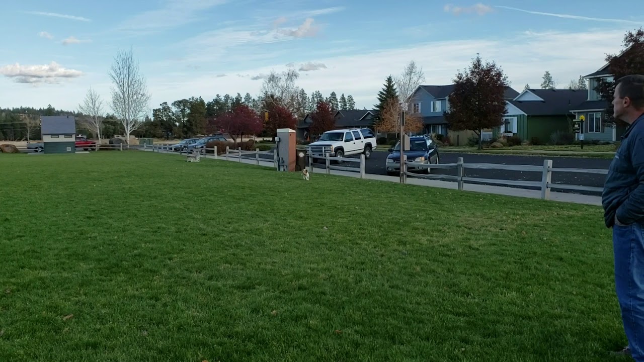 Kuna Park Run 10/25/19 YouTube