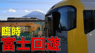 E257系　特急富士回遊に乗ってみた