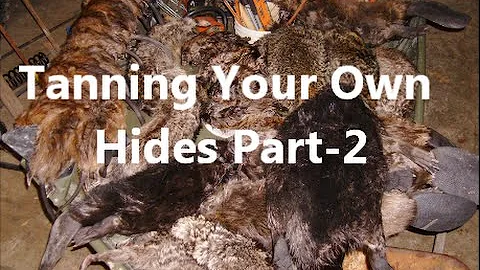 Tanning You Own Hides Part -2