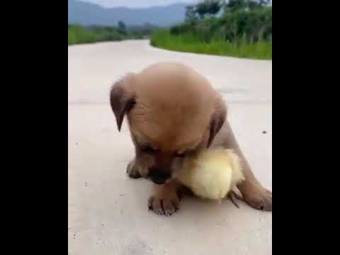 ١٨ أكتوبر ٢٠٢١