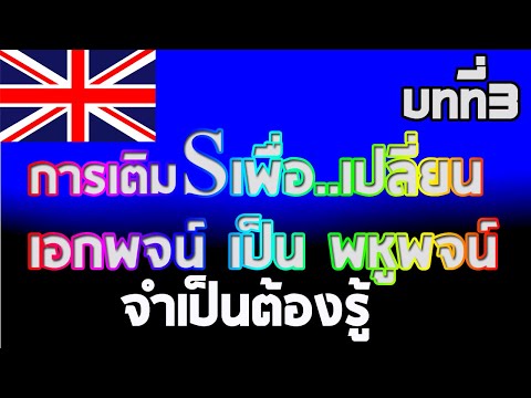 การเติมSหลังคำนาม เพื่อเปลี่ยนเอกพจน์ เป็น พหูพจน์