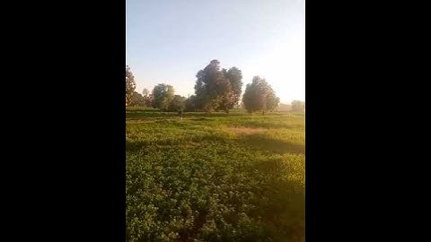 @ تلاوة هادئة " سورة الشمس" # you tube