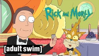 Bird Persons Big Day Rick And Morty Adult Swim
