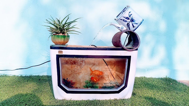 Beautiful Aquariums And Fountains | Or Creative From The Toilet And Kettles Away