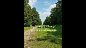تلاوة جديدة و خاشعة بصوت الشيخ سلمان العتيبي #تلاوات #القرآن_الكريم #soundcloud #explore