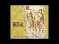 Mirah with The Black Cat Orchestra — To All We Stretch the Open Arm (2004)