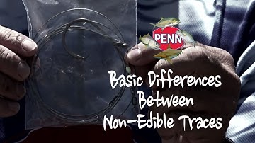 Basic Differences between Non-Edible Traces
