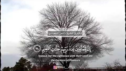 ماتيّسر من سورة القلم - للقارئ انس العمادي