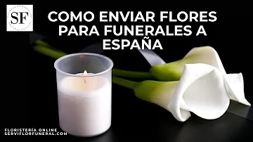 ¿Qué se puede hacer en lugar de enviar flores a un funeral?