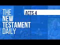 Acts 4 | The New Testament Daily with Jerry Dirmann Jan 28, 2024