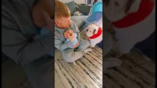 Adorable Bulldog just wants to play with his human baby brother