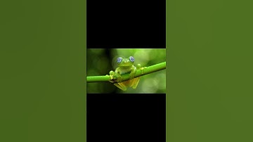 Take a deep breath, you’ve been scrolling for a while.