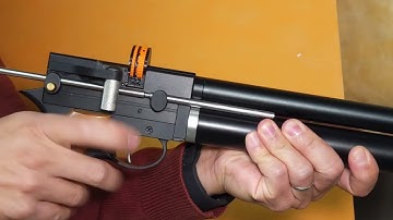 PP750 / Notos mag dump with extended cocking lever