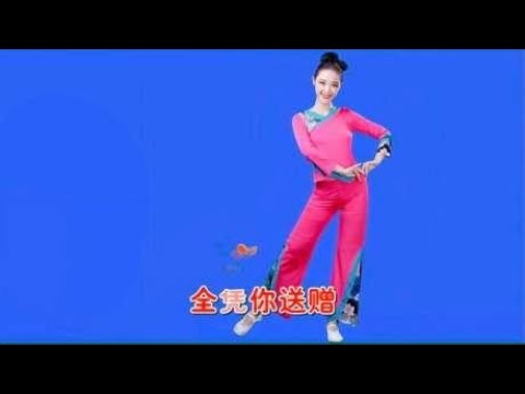 陈慧娴 演唱的粤语歌曲《不羁恋人》
