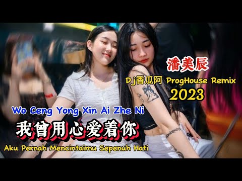 潘美辰 我曾用心爱着你 Dj香瓜阿 ProgHouse Remix 2023 Wo Ceng Yong Xin Ai Zhe Ni Dj抖音版2023