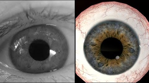 Ultra High Fidelity 3D Eye Tracking