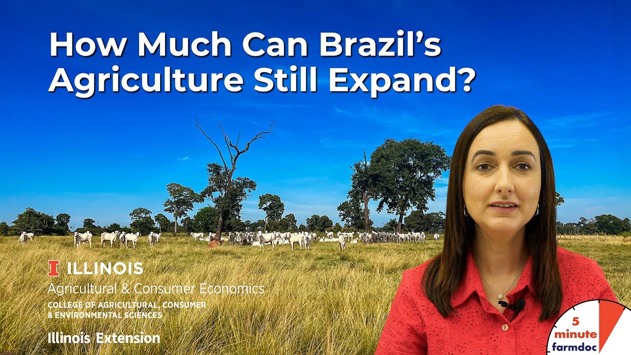 How Much Can Brazil’s Agriculture Still Expand? - YouTube