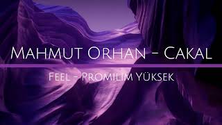 Mahmut Orhan Ft. Cakal / Feel - Promilim Yüksek (Remix)