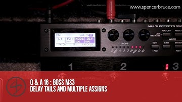 Q & A 16 : Boss MS3 Delay tails and using multiple assigns