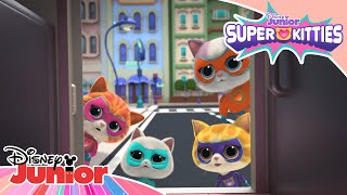 Dog Cookies Everywhere 🍪🐶 | SuperKitties ⭐ | Disney Junior MENA