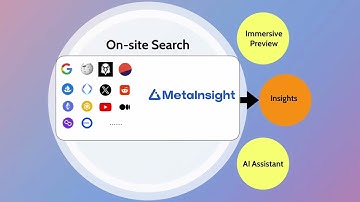 MetaInsight Pitch Video