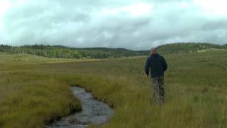 Fly Fishing Vermejo