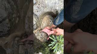 a hole containing a layer of hard rock and dense sand containing super gold