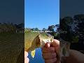 Smallmouth bass fishing. check out the video #jesus