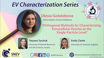 Orthogonal Methods for Characterizing Extracellular Vesicles at the Single-Particle Level