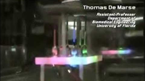 Rat Neurons Grown On A Computer Chip Fly A Simulated Aircraft