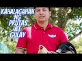 Usapang Sabong: Kahalagahan ng Prutas at Gulay Sa Ating Manok