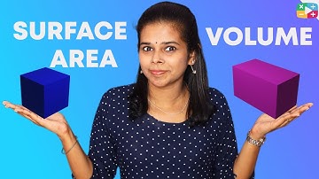 SURFACE AREA AND VOLUME OF CUBE AND CUBOID | CLASS 9 AND 10 |BASIC CONCEPTS