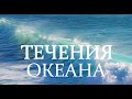 Течения мирового океана, океанов, почему морские течения возникают, как циркулирует влияют на климат