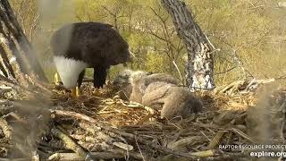 Decorah Eagles a good breakfast  05 03 2019