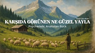 Karşıda Görünen Ne Güzel Yayla Psychedelic Anatolian Rock Nota - Lab 