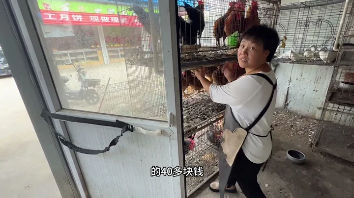 最近在农村呆习惯了，不想回美国了怎么办？今天去办退伍军人优待证，是不是美国也有？来看我在乡村的一天 - 天天要闻