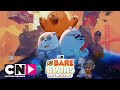 Вся правда о медведях: Фильм | Интернет-сенсация | Cartoon Network